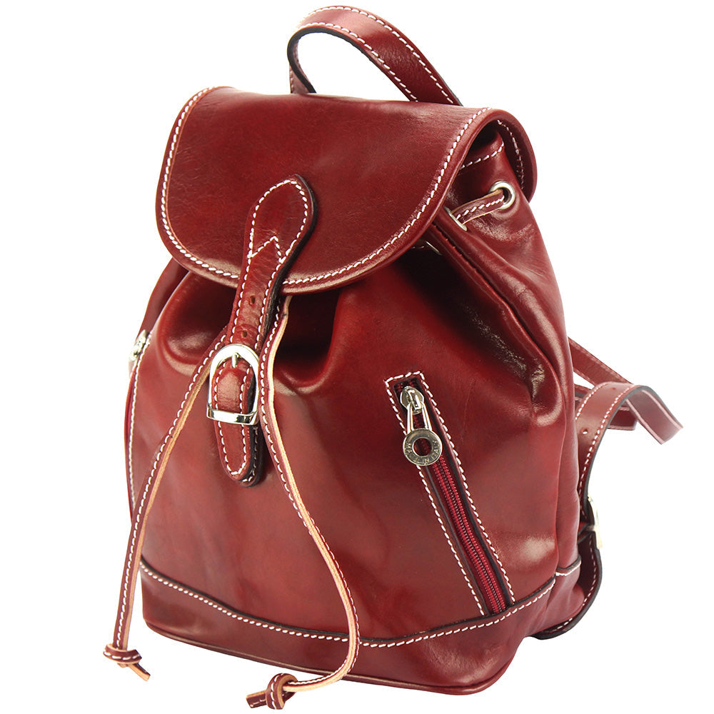 Luminosa Leather Backpack purse